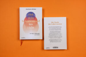 Buch Institut für Schattenarbeit