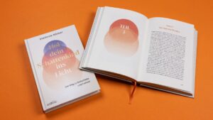 Buch Institut für Schattenarbeit